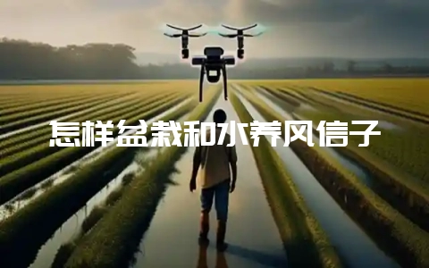 怎样盆栽和水养风信子-会东网