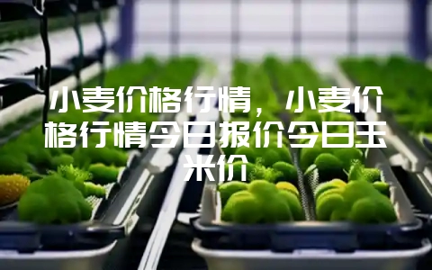 小麦价格行情，小麦价格行情今日报价今日玉米价-会东网