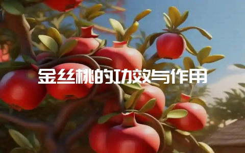 金丝桃的功效与作用-会东网