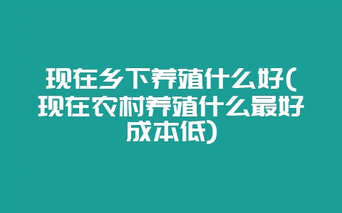 现在乡下养殖什么好(现在农村养殖什么最好成本低)-会东网