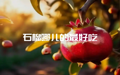 石榴哪儿的最好吃-会东网