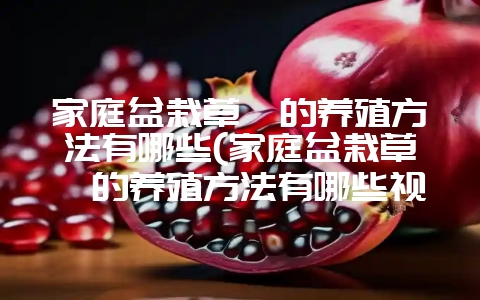 家庭盆栽草莓的养殖方法有哪些(家庭盆栽草莓的养殖方法有哪些视频)-会东网
