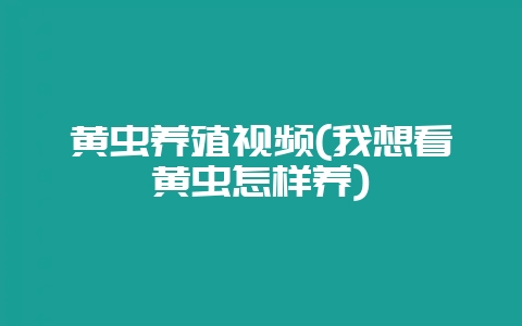 黄虫养殖视频(我想看黄虫怎样养)插图 黄虫养殖视频(我想看黄虫怎样养)插图