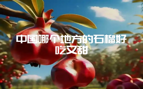 中国哪个地方的石榴好吃又甜-会东网