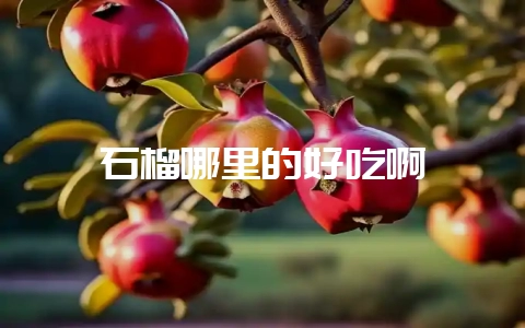 石榴哪里的好吃啊-会东网