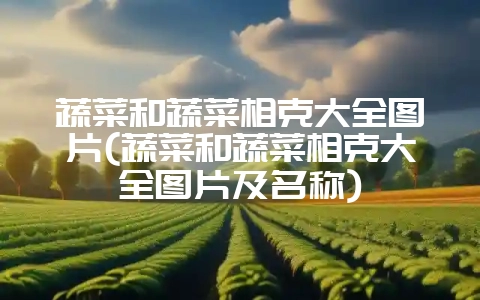 蔬菜和蔬菜相克大全图片(蔬菜和蔬菜相克大全图片及名称)-会东网