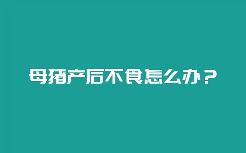 母猪产后不食怎么办？-会东网