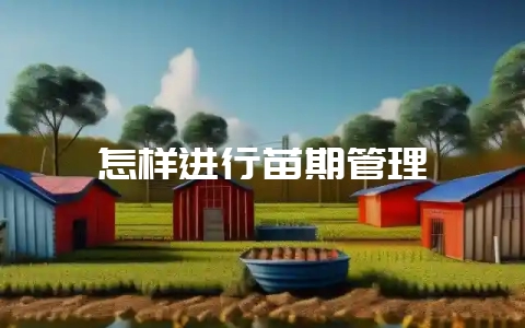 怎样进行苗期管理插图 怎样进行苗期管理插图
