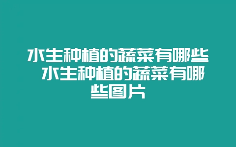 水生种植的蔬菜有哪些 水生种植的蔬菜有哪些图片-会东网