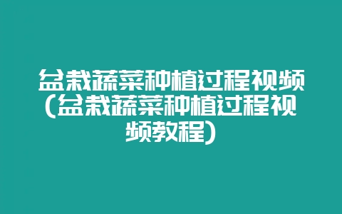 盆栽蔬菜种植过程视频(盆栽蔬菜种植过程视频教程)-会东网