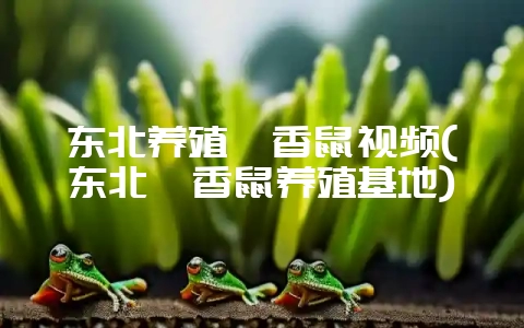 东北养殖麝香鼠视频(东北麝香鼠养殖基地)-会东网