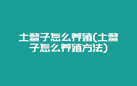 土鳖子怎么养殖(土鳖子怎么养殖方法)-会东网