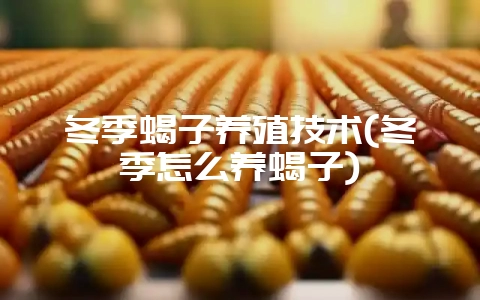 冬季蝎子养殖技术(冬季怎么养蝎子)-会东网