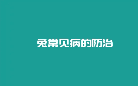 獭兔常见病的防治-会东网