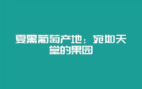 夏黑葡萄产地：宛如天堂的果园-会东网