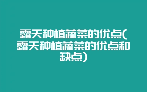 露天种植蔬菜的优点(露天种植蔬菜的优点和缺点)插图 露天种植蔬菜的优点(露天种植蔬菜的优点和缺点)插图