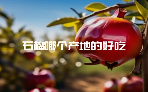 石榴哪个产地的好吃-会东网