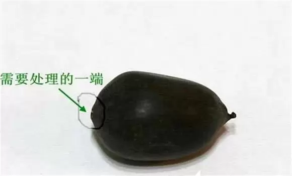 碗莲的种植方法带图，碗莲的种植方法与技术-会东网