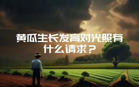 黄瓜生长发育对光照有什么请求？-会东网