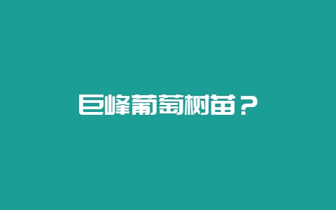巨峰葡萄树苗？-会东网