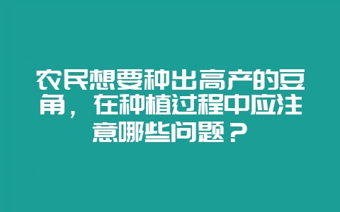 农民想要种出高产的豆角,在种植过程中应注意哪些问题?插图 农民想要种出高产的豆角,在种植过程中应注意哪些问题?插图