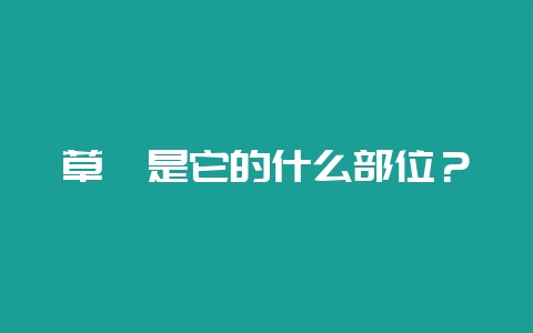 草莓是它的什么部位?-会东网