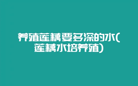养殖莲藕要多深的水(莲藕水培养殖)-会东网