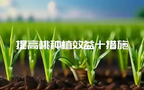 提高桃种植效益十措施-会东网