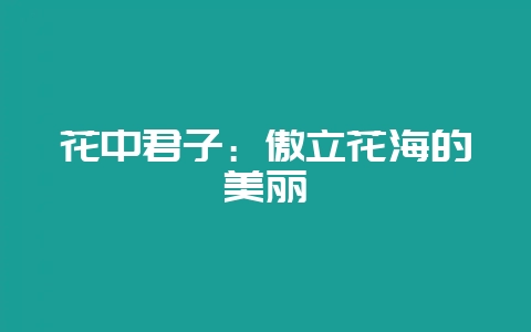 花中君子：傲立花海的美丽-会东网