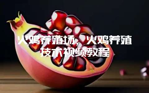 火鸡养殖场,火鸡养殖技术视频教程插图 火鸡养殖场,火鸡养殖技术视频教程插图