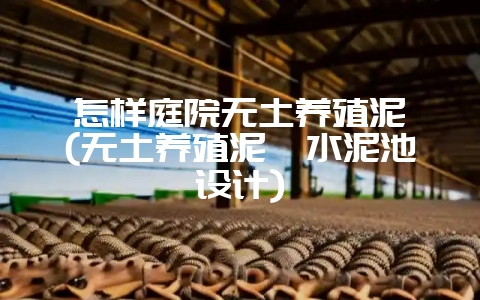 怎样庭院无土养殖泥鳅(无土养殖泥鳅水泥池设计)-会东网