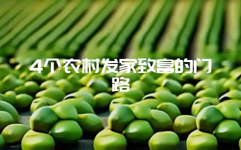 4个农村发家致富的门路-会东网