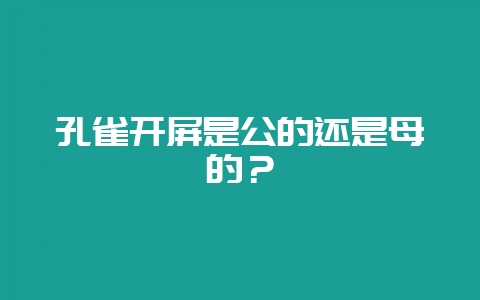 孔雀开屏是公的还是母的？-会东网