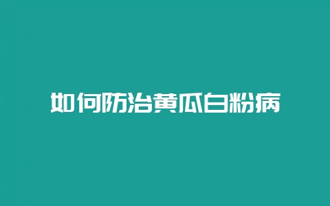 如何防治黄瓜白粉病-会东网