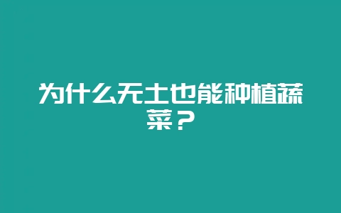 为什么无土也能种植蔬菜？-会东网