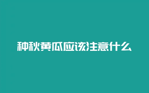 种秋黄瓜应该注意什么插图 种秋黄瓜应该注意什么插图