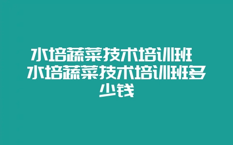 水培蔬菜技术培训班 水培蔬菜技术培训班多少钱-会东网