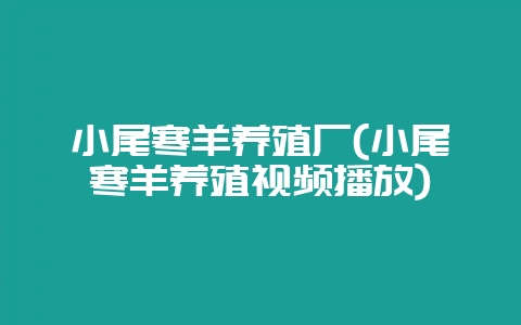 小尾寒羊养殖厂(小尾寒羊养殖视频播放)-会东网
