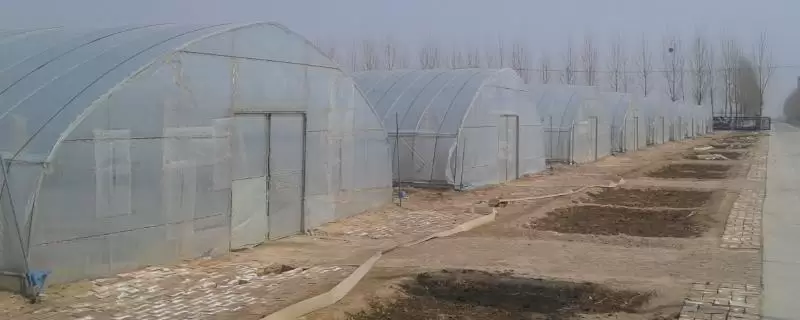 无土栽培蔬菜的成本，搭建毛竹大棚每亩只需5000-6000元左右-会东网