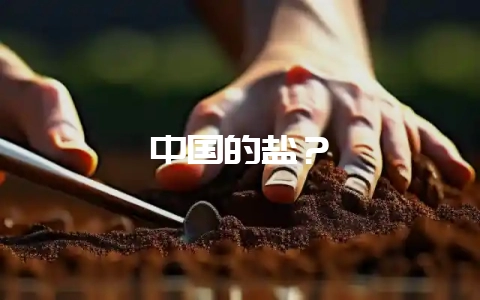 中国的盐？-会东网