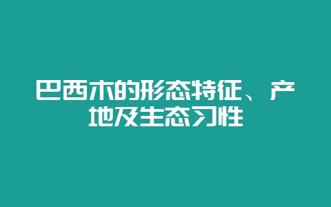 巴西木的形态特征、产地及生态习性-会东网