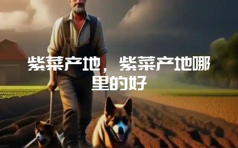 紫菜产地，紫菜产地哪里的好-会东网