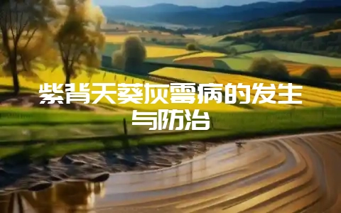紫背天葵灰霉病的发生与防治-会东网