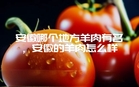 安徽哪个地方羊肉有名，安徽的羊肉怎么样-会东网