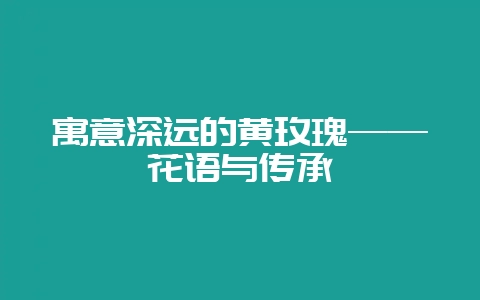 寓意深远的黄玫瑰——花语与传承-会东网