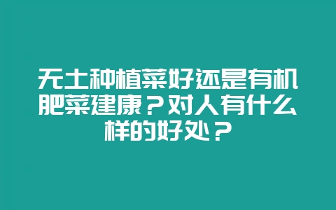 无土种植菜好还是有机肥菜建康?对人有什么样的好处?插图 无土种植菜好还是有机肥菜建康?对人有什么样的好处?插图