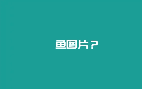 鲇鱼图片?插图 鲇鱼图片?插图