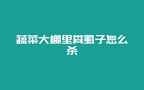 蔬菜大棚里粪虱子怎么杀-会东网