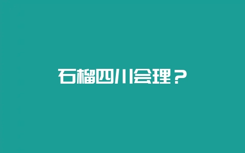 石榴四川会理?插图 石榴四川会理?插图
