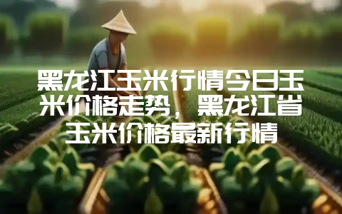 黑龙江玉米行情今日玉米价格走势，黑龙江省玉米价格最新行情-会东网